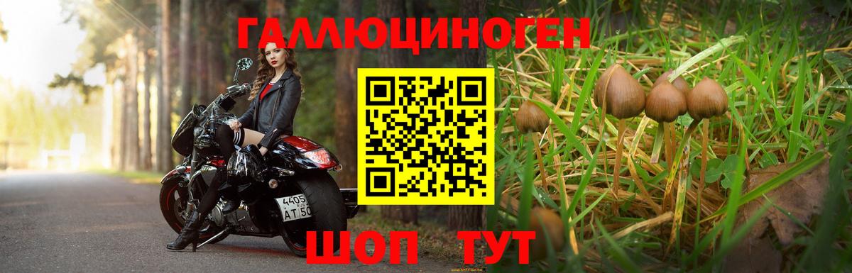 Галлюциногенные грибы прущие грибы  Вход с VPN  Янаул  наркота  Галлюциногенные грибы GOLDEN TEACHER 