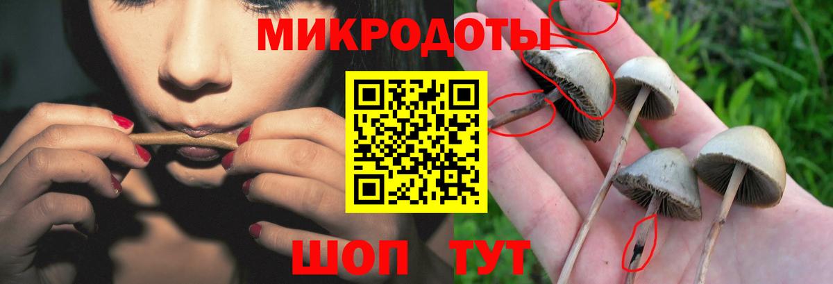 Галлюциногенные грибы Magic Shrooms Янаул